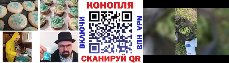 Купить где  Трубчевск  Cannafood конопля 