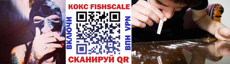 Купить закладки  Трубчевск  COCAIN 97% 