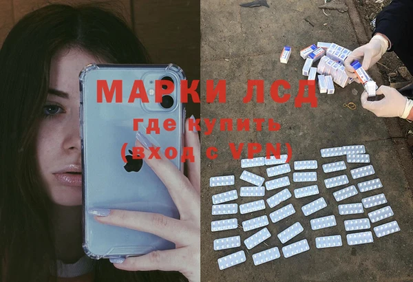 крисы Горняк