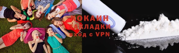 крисы Горняк