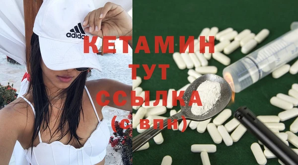 крисы Горняк
