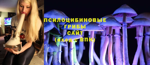 МДМА Горнозаводск