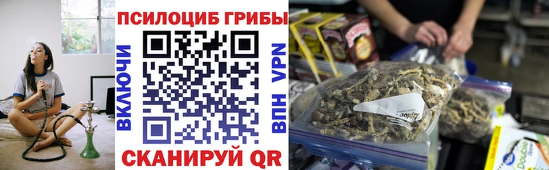 Купить  Трубчевск  Псилоцибиновые грибы мицелий 