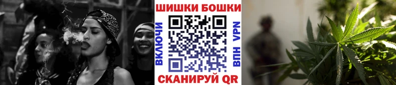 Купить закладки  Трубчевск  Бошки марихуана конопля 